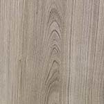 Serotina