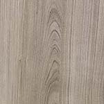Serotina